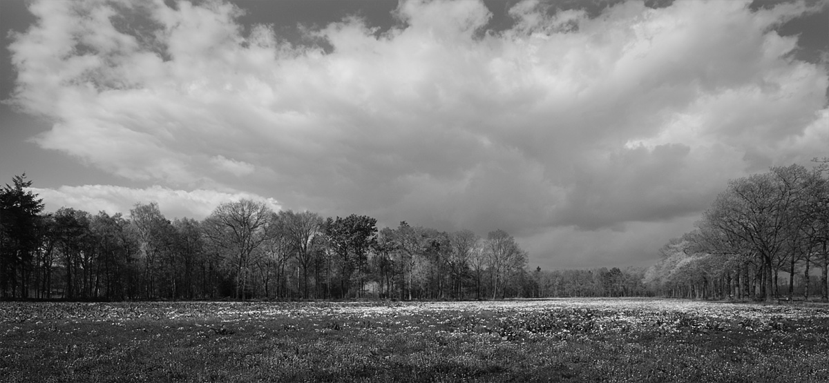 A051_C001_0408VT BW